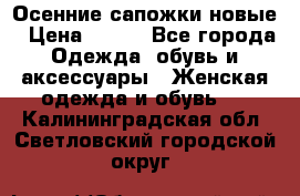 Осенние сапожки новые › Цена ­ 600 - Все города Одежда, обувь и аксессуары » Женская одежда и обувь   . Калининградская обл.,Светловский городской округ 